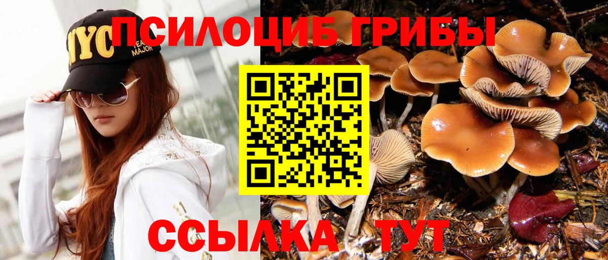 Наркошоп  КОКАИН  ГАШ  МДМА  Меф МЯУ МЯУ  МЕФ   A PVP СК кристаллы  Десногорск  Вход с VPN  Марихуана  Кодеин 