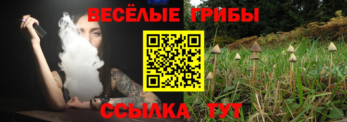Галлюциногенные грибы ЛСД  магазин    Десногорск  Вход с VPN 